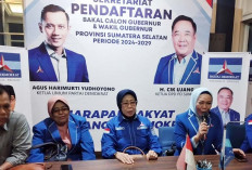 Holda Tegak Lurus Patuhi Keputusan Partai, Siap Menangkan HD-CU