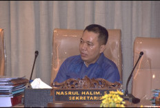 Anggota DPRD Sumsel Nasrul Halim Apresiasi Peluncuran Program Gerina di Banyuasin 