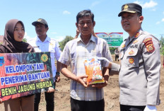 Dukung Ketahanan Pangan Nasional Gelar Penanaman Jagung Serentak