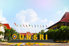 Ini Lho 25 Universitas Terbaik di Indonesia Versi EduRank 2024, Adakah Universitas di Sumsel?