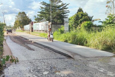 Kelamaan Sebagian Badan Jalan di Cor Beton Takut Cepat Rusak