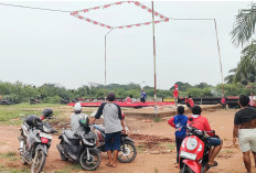 Sukosari Balap Burung Merpati, Disukai Orang Tua, Remaja dan Anak-Anak