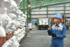 2024, Sumsel Terima Alokasi Pupuk Urea Subsidi 72.752 Ton