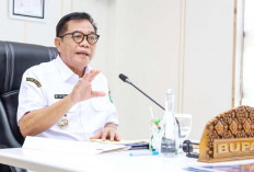 Bupati Toha Deadline BUMD 6 Bulan