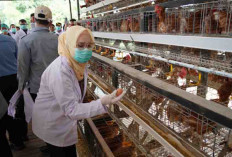 Telur Banyuasin Siap Mendunia