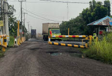 Bupati Muara Enim Harus Tegas Jangan Berikan Izin RMK Gunakan Jalan Jepang