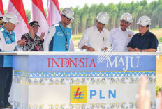 Presiden Jokowi Groundbreaking Pembangunan PLTS PLN 50 MW di IKN