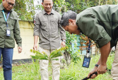 Eco Enzyme 200 Pohon Belimbing Wuluh ini di Bank Sampah Sakura