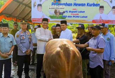 Pj Bupati Lahat Serahkan Hewan Kurban ke PCNU dan MUI Lahat