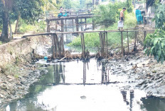 Aliran Sungai Irigasi Pakjo Surut, Saatnya Bersih-bersih Sampah yang Nyangkut