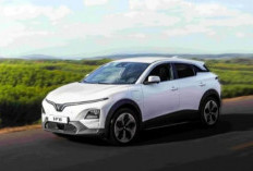 Produsen Mobil Asal Vietnam VinFast Luncurkan SUV Listrik VF 6 