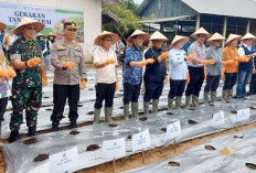 Kodam II/Sriwijaya Dukung Gerakan Tanam Cabai Kendalikan Inflasi di Sumsel