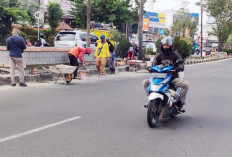 Percantik Taman Pembatas Jalan