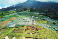 Pasar Kuliner Dempo Dongkrak Ekonomi