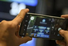 BEI: Investor Pasar Modal Sumsel Capai 385.611 Orang