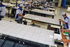 Panel Surya Asal Indonesia Catat Transaksi Rp693 Miliar di Brasil