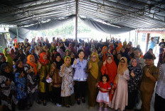 dr. Ratu Tenny Leriva Kunjungi Desa Air Itam, OKI: Serap Aspirasi & Salurkan Bantuan untuk Masyarakat
