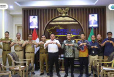 Gubernur Sumsel Dorong Percepatan Listrik Desa dan Penataan Jaringan PLN