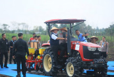 Gubernur Dampingi Kapolri Tanam Jagung Serentak di Ogan Ilir, Sumsel Perkuat Komitmen Swasembada Pangan