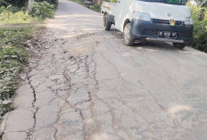 Truk Angkutan Tanah, Merusak Jalan Gogokan Kito