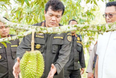 Akses Ekspor Durian Beku Asal Indonesia Resmi Buka, China GACC Mou Naskah Protokol Percayakan ke Barantin