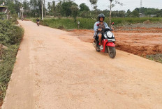 Tanah Untuk Timbunan Berceceran di Jalan Gogokan Kito Membahayakan Pengendara