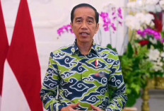 HLN Ke-78, Presiden Jokowi Beri Selamat ke PLN