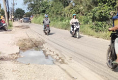 Jalan Sematang Borang Banyak Lubang