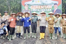 Kolaborasi Wujudkan Swasembada Pangan