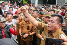 Kompak Perjuangkan Legalisasi Penyulingan Minyak Tradisional