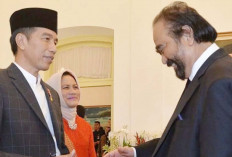 Jokowi Panggil Surya Paloh ke Istana Jakarta