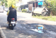 Lubang di Jalan Enim Cukup Besar