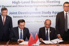 PLN Indonesia Power dan China Energy Sepakat Kaji Pengembangan Energi Hijau Skala Besar di Sulawesi