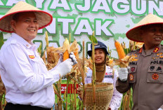 Polres OKU Timur Panen Jagung 61 Hektare