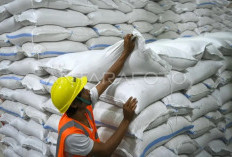 Stok Beras Bulog Pada Awal Mei Tembus 3,6 Juta Ton