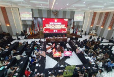 Wah,  Ternyata Hasil Pleno KPU Sumsel, Hanya Golkar-Gerindra yang Dapat 2 Kursi DPR