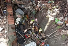 Pemkot  Palembang Harus Prioritaskan  Pengerukan Drainase/Parit yang Buntu