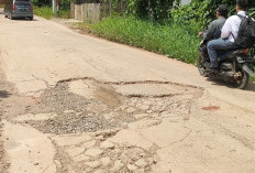 Warga Timbun Jalan Berlubang dengan Pecahan Batu