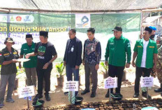 Jihad Ekonomi, GP Ansor Tanam 1.000 Bibit Sawit di Lahat