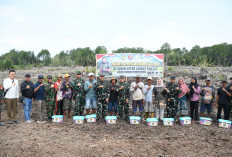 Danrem 044/Gapo Kawal Program Strategis Pemerintah, Sulap Lahan Tidur Menjadi Sawah Produktif