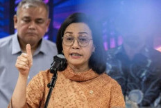 Sri Mulyani Bentuk 'Joint Program' Kemenkeu, Untuk Dongkrak Penerimaan   