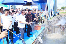 Nikmati Tradisi Melebung, Sinergi Lewat Kearifan Lokal
