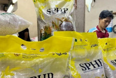 Zulhas: Cadangan Beras 4 Juta Ton pada 2026, Perkuat SPHP dan Bantuan Pangan