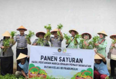 Rutan Kelas IIB Prabumulih Panen Raya Sayuran