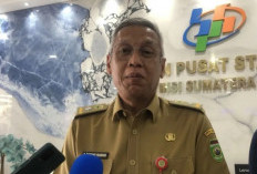 Sumsel Kembangkan Teknologi Padi Apung  Tingkatkan Indeks Pertanaman