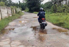 Akibat Tergenang Air Jalanan Menjadi Rusak