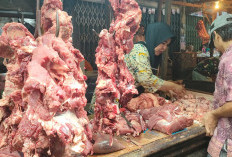 Wow, Harga Daging Sapi Tembus Rp150 Ribu