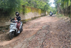 Cukup Menyeramkan Warga Lewat di Jalan Belakang Punti Kayu