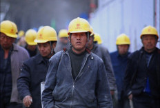 Didominasi Warga China,  TKA di Sumsel Terpusat di Sektor Tambang Muara Enim