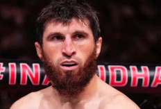 Magomedov Ankalaev Bertekad Akhiri Kejayaan Alex Pereira Pada UFC 313